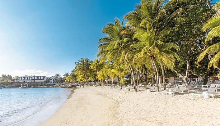 The Ravenala Attitude