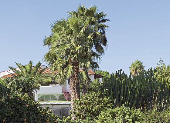 Park Hotel Terme Mediterraneo