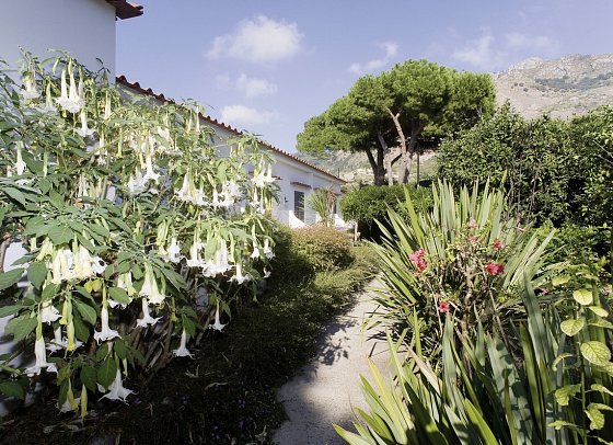 Park Hotel Terme Mediterraneo