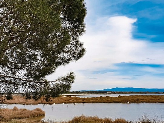 Camping S'Ena Arrubia (by Happy Camp)