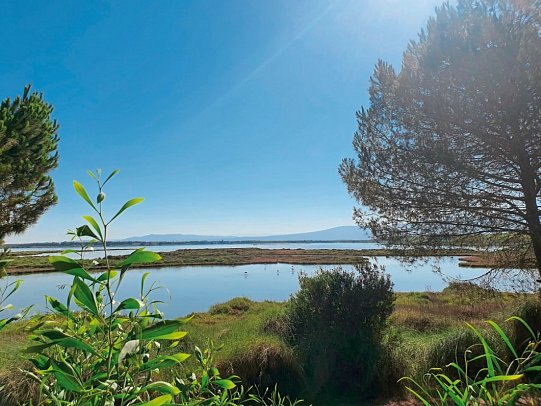 Camping S'Ena Arrubia (by Happy Camp)