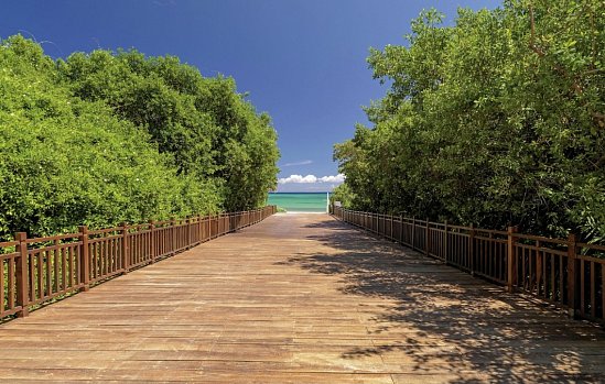 Paradisus La Perla