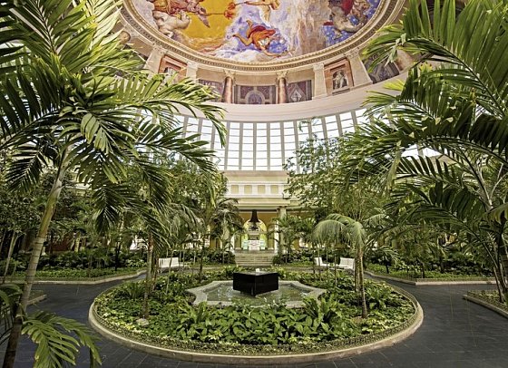 JOIA Paraíso by Iberostar