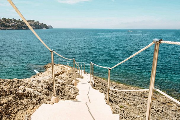 Sentido Fido Punta del Mar