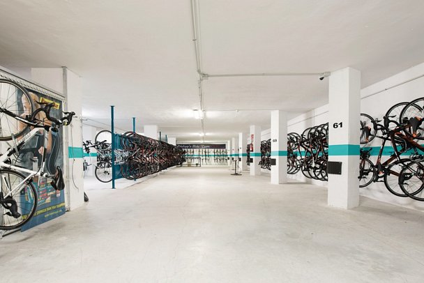 Sentido Fido Punta del Mar