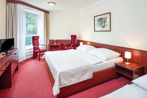 Wellness Hotel Svornost - Wohnbeispiel Doppelzimmer Economy (Zimmercodierungen DP2, DE2, DE3, DE4 & DC2)