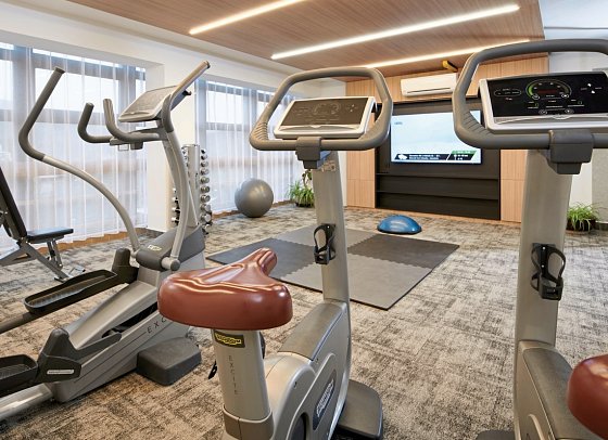 Wellness Hotel Svornost