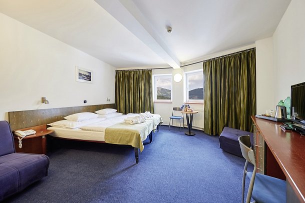 Horizont - Wohnbeispiel Doppelzimmer Superior (Zimmercodierung DS1)