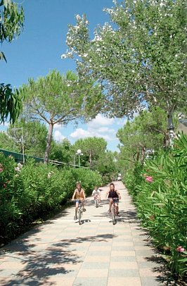 Camping Free Beach (by Happy Camp)