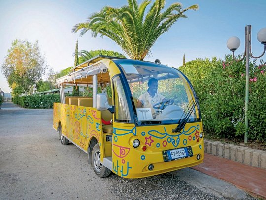 Camping Free Beach (by Happy Camp)