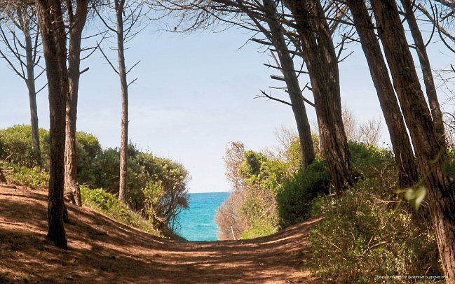 The Sense Experience Resort