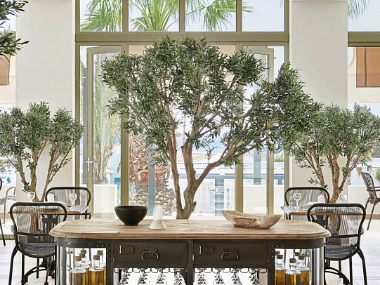 Grecotel Lux Me Dama Dama