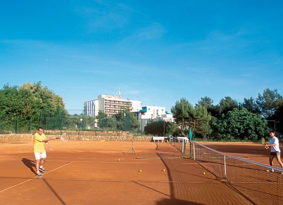 Drazica Hotel Resort & Villa Lovorka