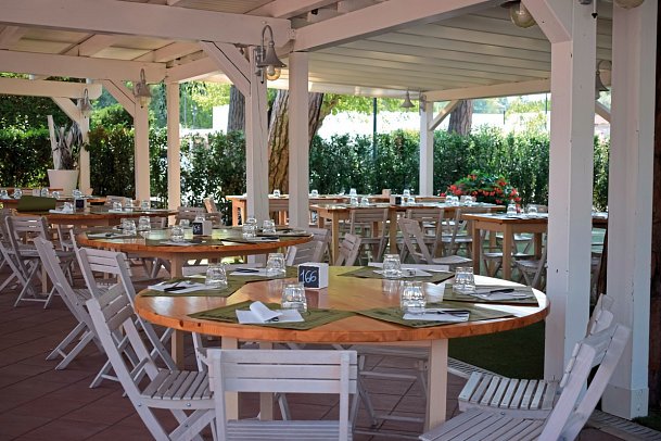 Adriano Family Collection