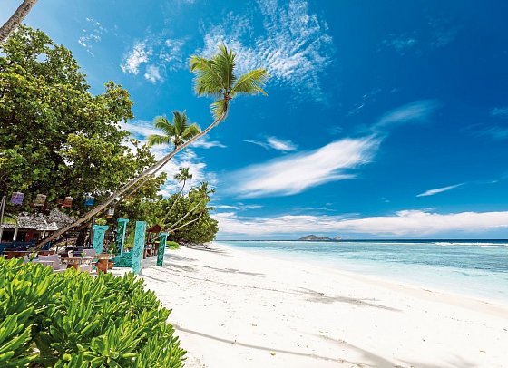 NIVA Labriz Seychelles