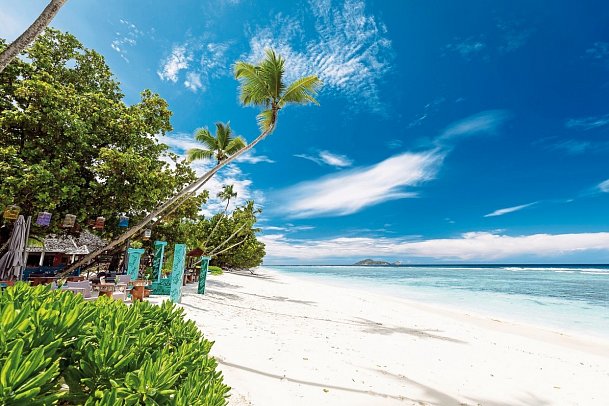 NIVA Labriz Seychelles
