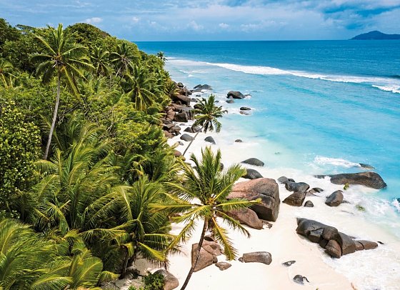NIVA Labriz Seychelles