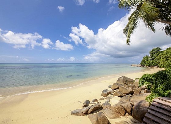 Coco de Mer & Black Parrot Suites