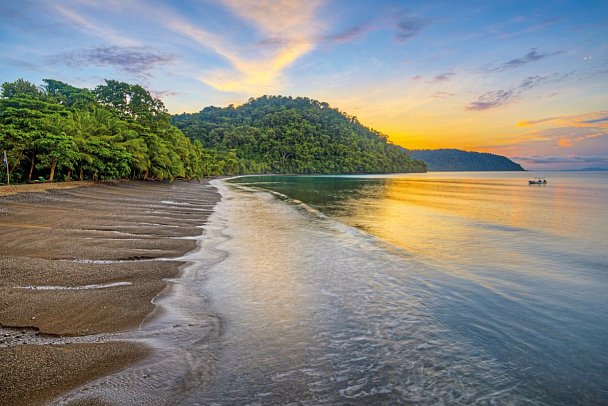 Playa Nicuesa Rainforest Lodge