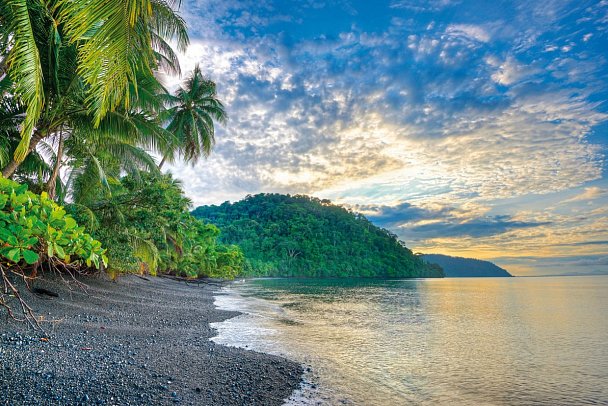 Playa Nicuesa Rainforest Lodge