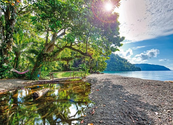 Playa Nicuesa Rainforest Lodge