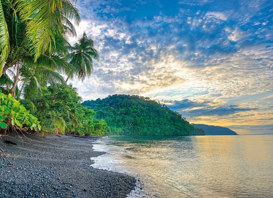 Playa Nicuesa Rainforest Lodge