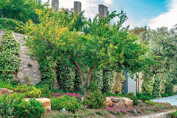 Ammon Zeus Luxury Beach Hotel