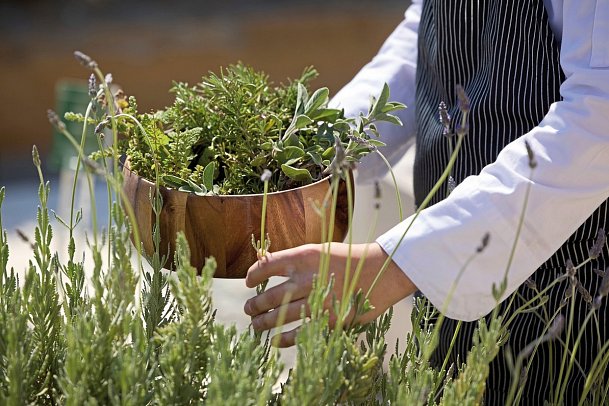 Anthemus Sea Beach Hotel & Spa