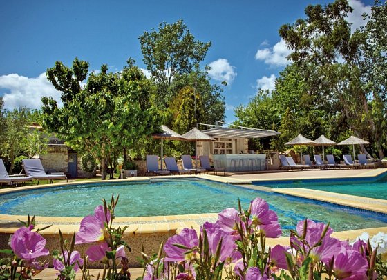 Petrino Eco Village