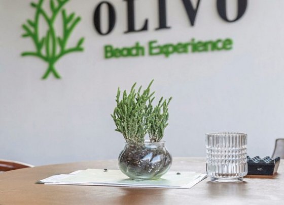 Royal Hotel and Suites - Olivo Beach-Bar