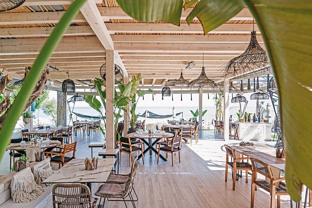 Blue Carpet Luxury Suites