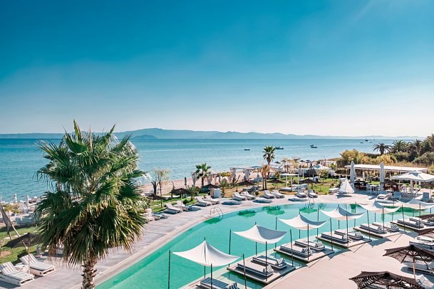 Blue Carpet Luxury Suites