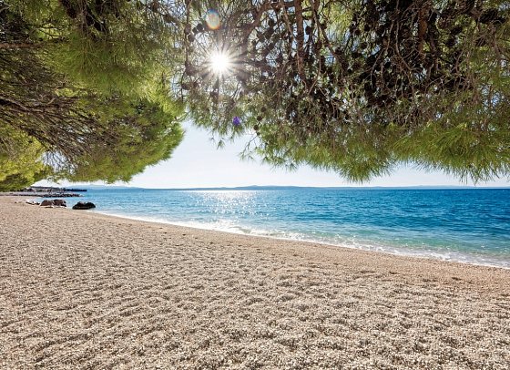 Bluesun Hotel Alga