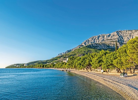 Bluesun Hotel Alga