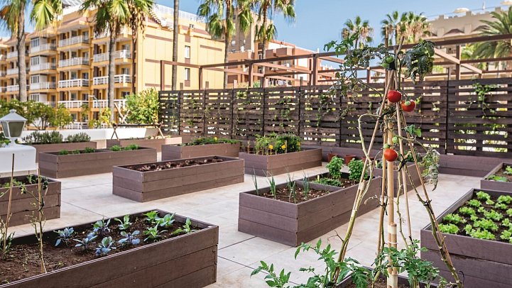 Be Live Adults Only Tenerife