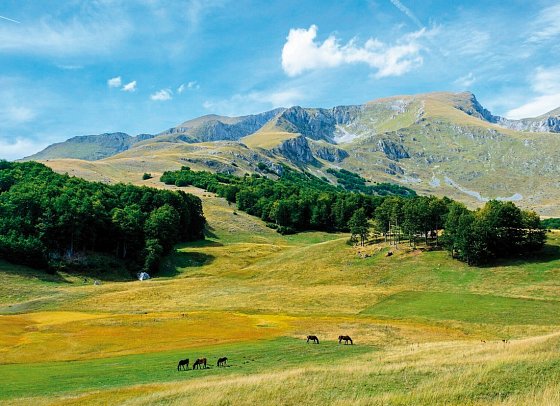Montenegro in allen Facetten erleben