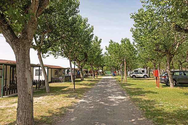 Camping Classe Village