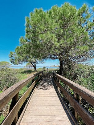 Rosapineta Camping Village (by Happy Camp)