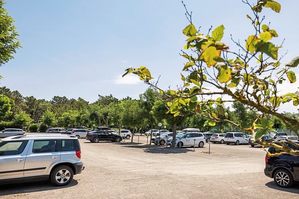 Residence Mare Pineta