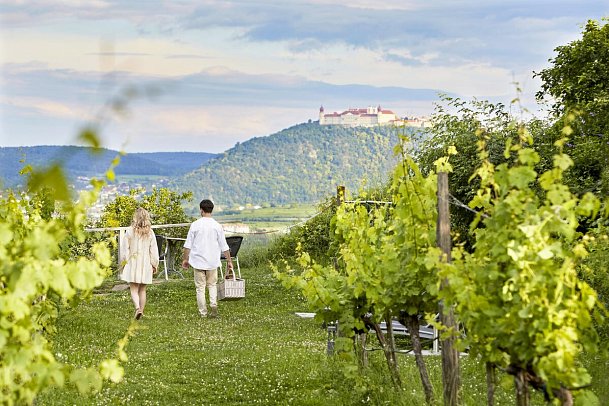 Steigenberger Hotel & Spa Krems