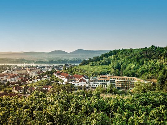 Steigenberger Hotel & Spa Krems