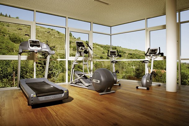 Steigenberger Hotel & Spa Krems - Fitnessraum