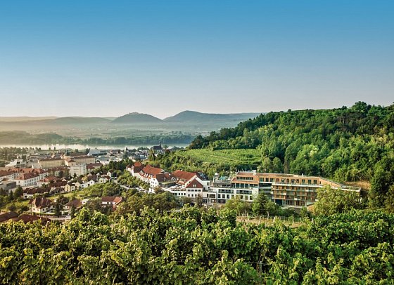 Steigenberger Hotel & Spa Krems
