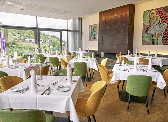 Steigenberger Hotel & Spa Krems