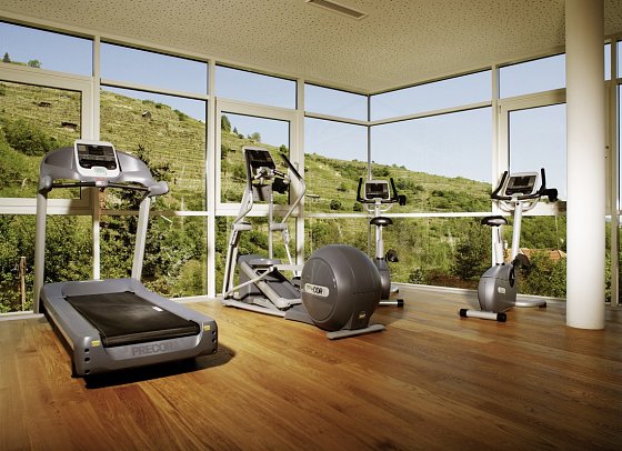 Steigenberger Hotel & Spa Krems - Fitnessraum