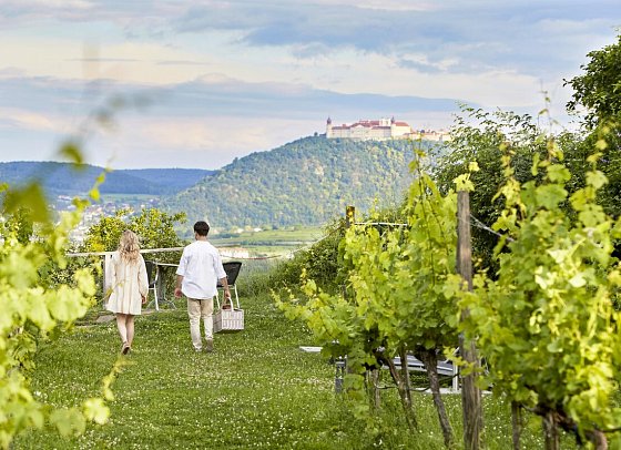 Steigenberger Hotel & Spa Krems