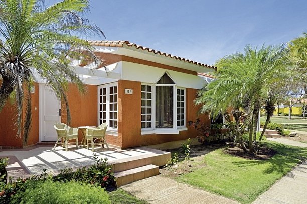 Sol Palmeras