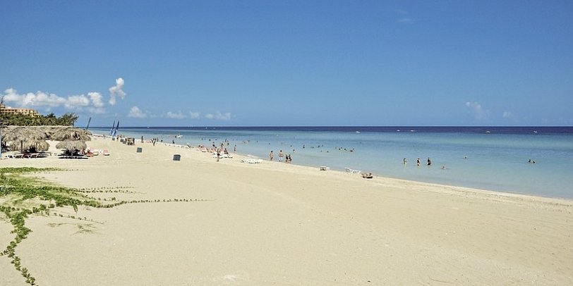 Sol Palmeras