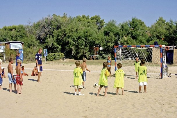 Camping Village Butterfly (by Happy Camp)