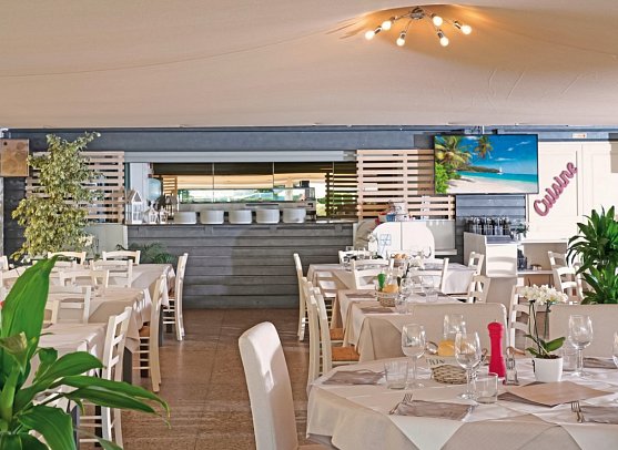 Camping Village Butterfly (by Happy Camp)